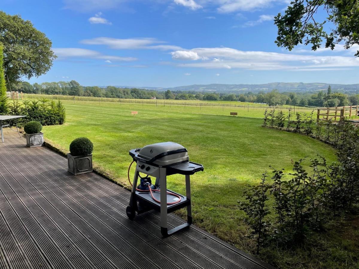 Stunning Cabin With Incredible Views Near Goodwood Rogate Εξωτερικό φωτογραφία