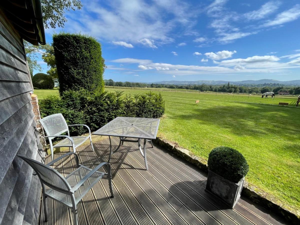 Stunning Cabin With Incredible Views Near Goodwood Rogate Εξωτερικό φωτογραφία
