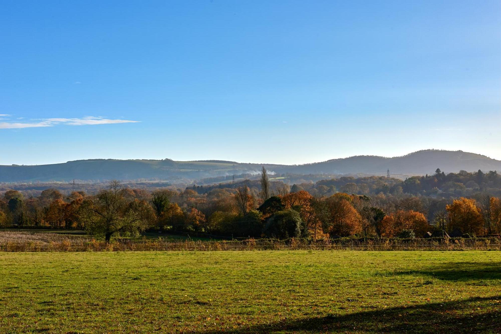 Stunning Cabin With Incredible Views Near Goodwood Rogate Εξωτερικό φωτογραφία