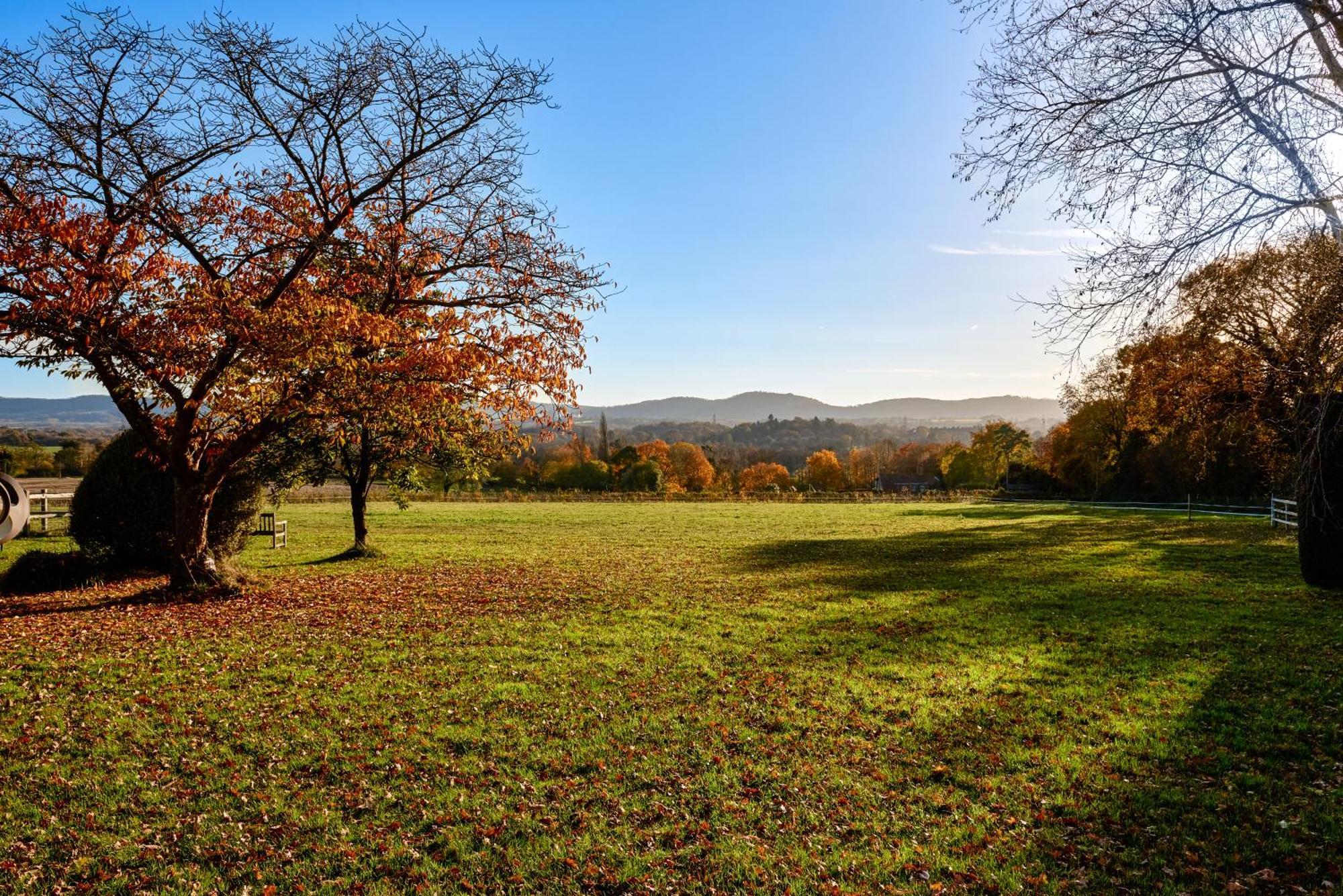 Stunning Cabin With Incredible Views Near Goodwood Rogate Εξωτερικό φωτογραφία