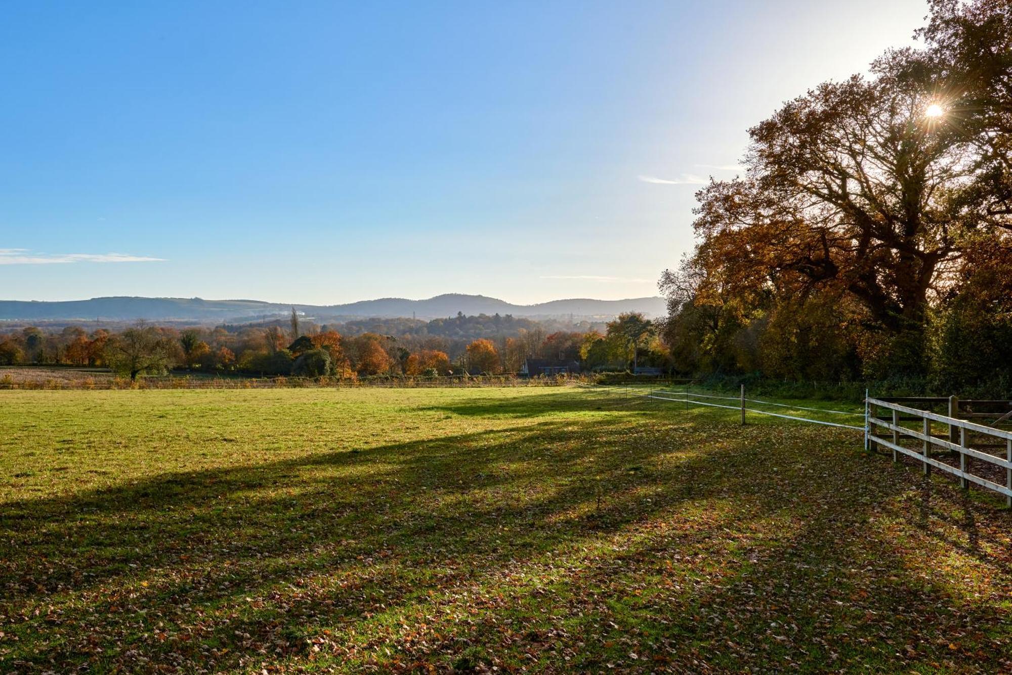Stunning Cabin With Incredible Views Near Goodwood Rogate Εξωτερικό φωτογραφία