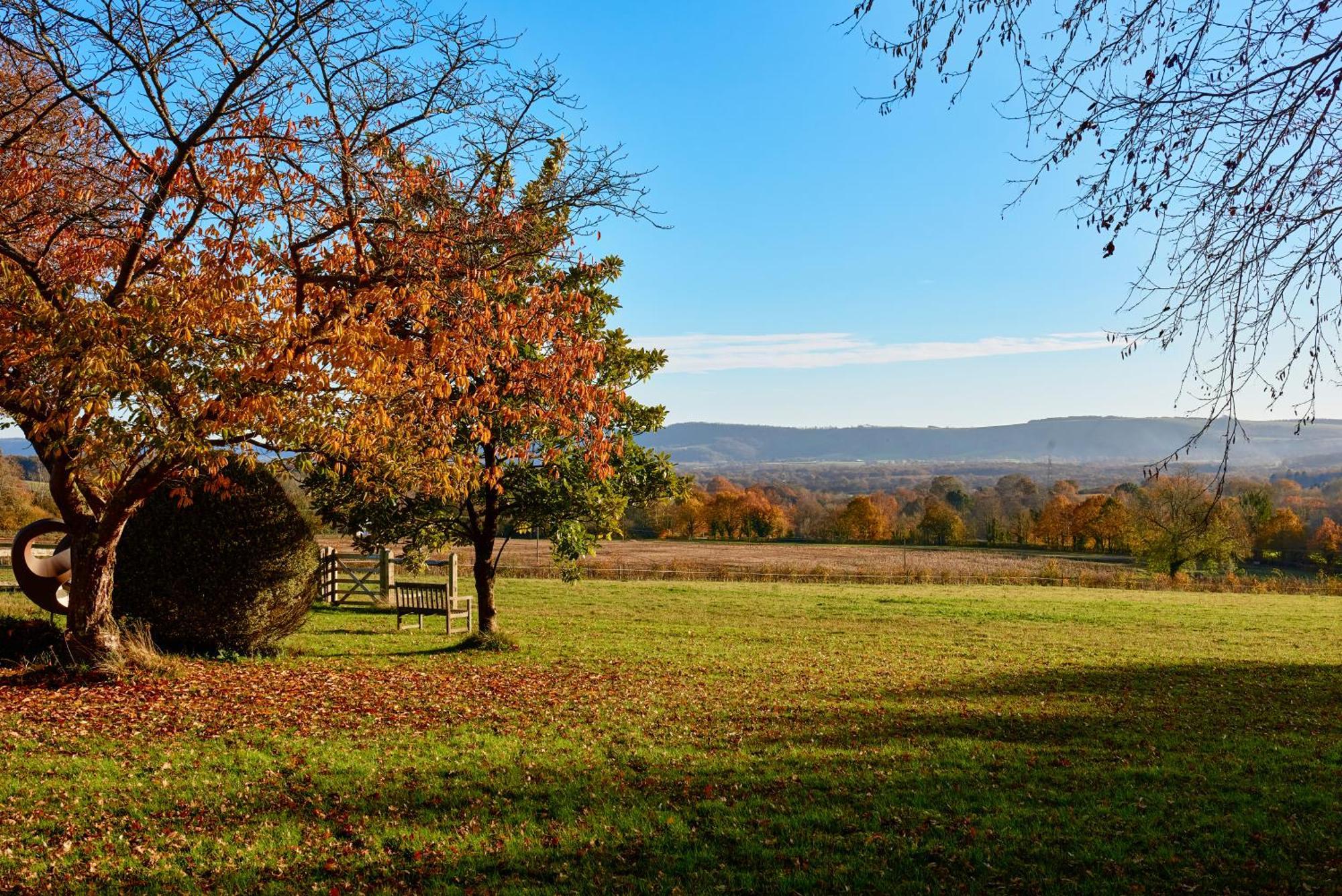 Stunning Cabin With Incredible Views Near Goodwood Rogate Εξωτερικό φωτογραφία
