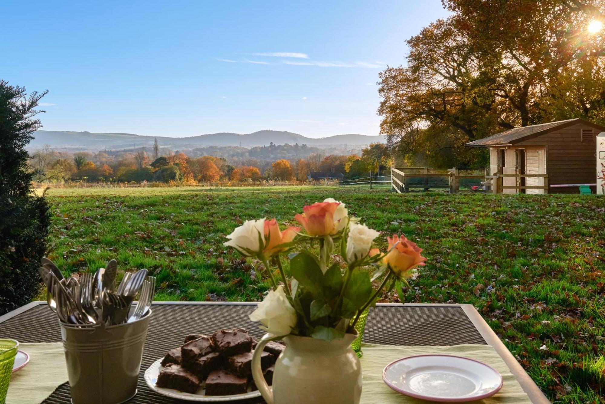 Stunning Cabin With Incredible Views Near Goodwood Rogate Εξωτερικό φωτογραφία