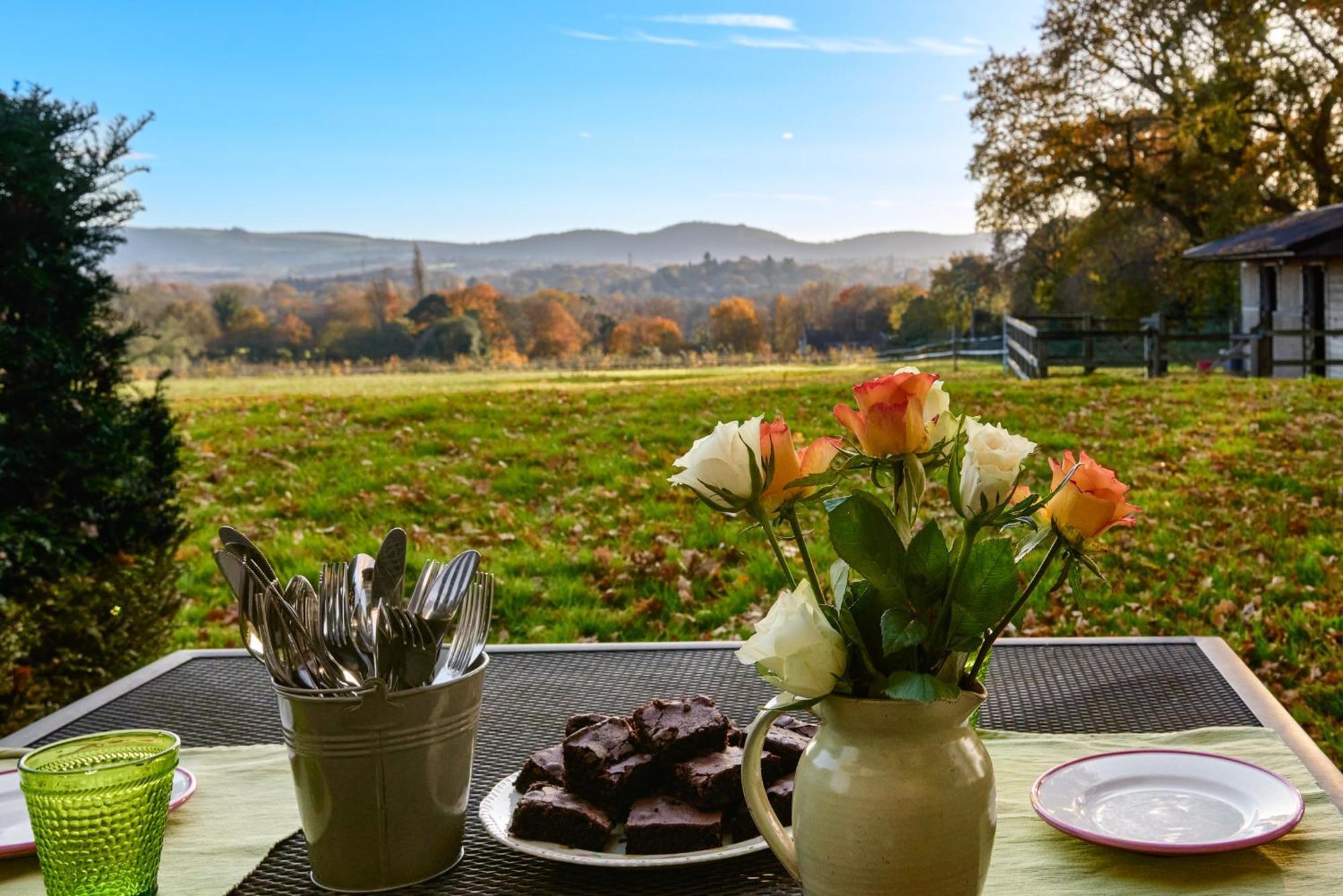 Stunning Cabin With Incredible Views Near Goodwood Rogate Εξωτερικό φωτογραφία